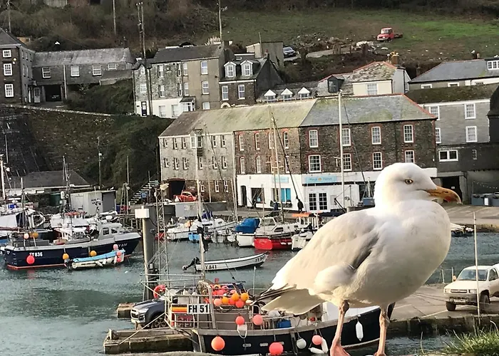 Mevagissey Boutique Flatlet With Sea And Countryside Views
